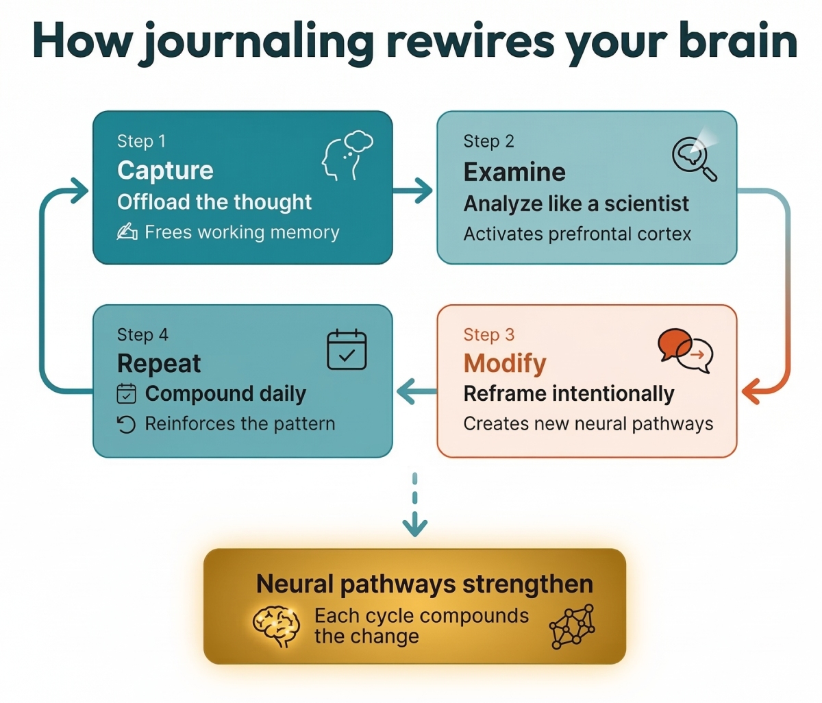 Diagram showing how journaling reshapes your brain: Step 1 Capture (offload the thought, frees working memory), Step 2 Examine (analyze like a scientist, activates prefrontal cortex), Step 3 Modify (reframe intentionally, creates new neural pathways), Step 4 Repeat (compound daily, reinforces the pattern). Each cycle strengthens neural pathways.